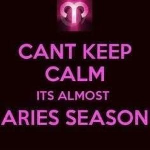 Meet your Posher, Tasha